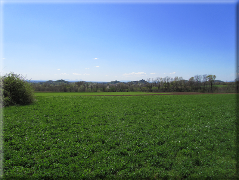 foto Paesaggi Collinari in Primavera